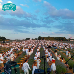 FESTIVAL DE LA LAVANDA 2022